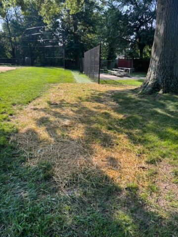 a view of the field at Isreal Park